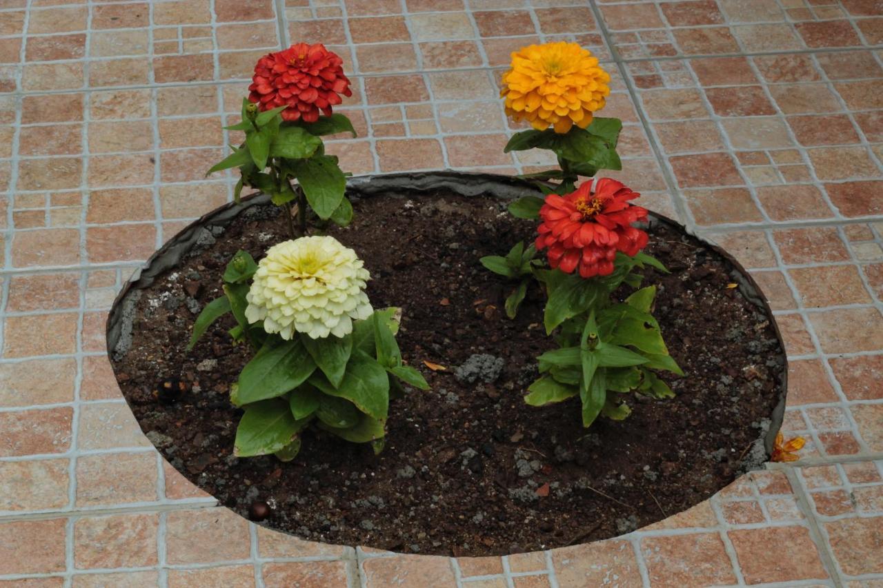 سترارو B&B Verzavo المظهر الخارجي الصورة