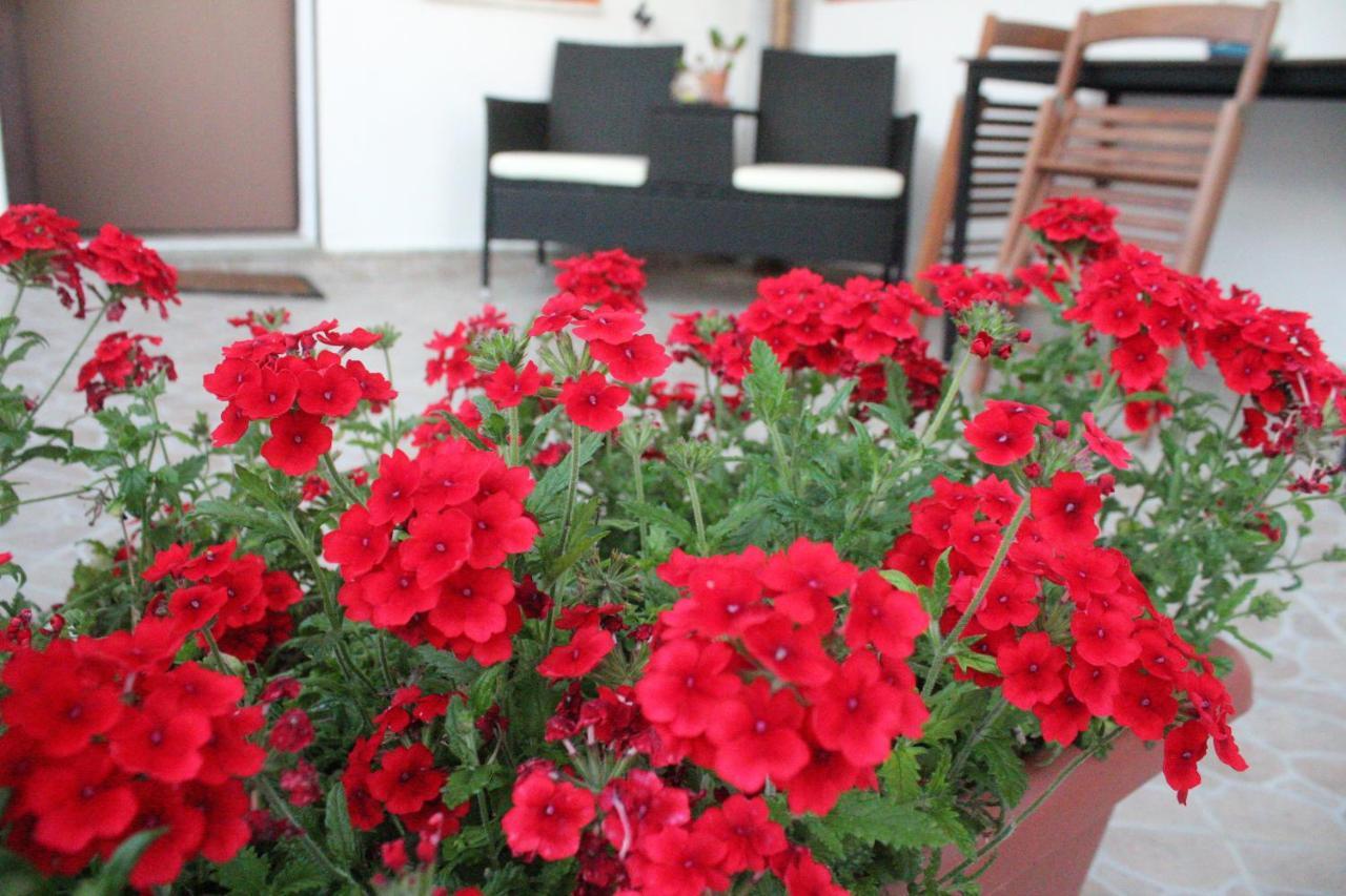 سترارو B&B Verzavo المظهر الخارجي الصورة